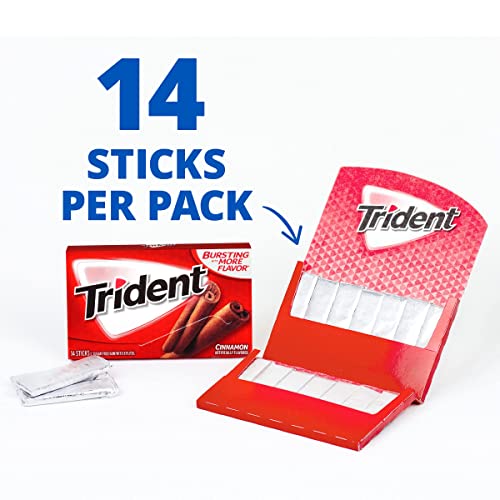 Trident Cinnamon 12 Pack